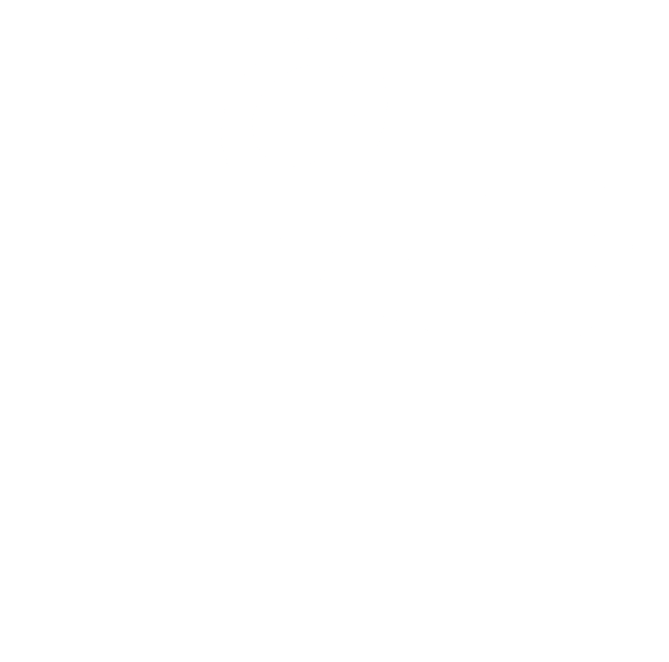DroneEngage Logo